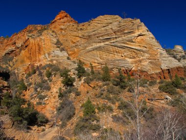 dağlar zion national Park