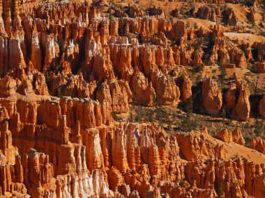 bryce canyon Milli Parkı