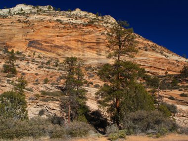 dağlar zion national Park