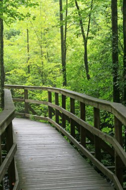 yürüyüş yolu içinde büyük bataklığı Milli Yaban hayatı Sığınağı
