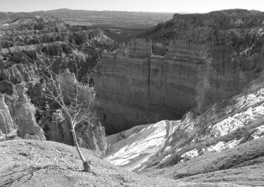 bryce canyon Milli Parkı