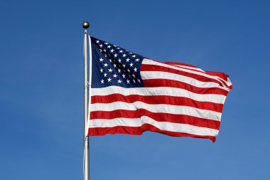 Amerikan bayrağı