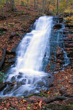 douglas falls
