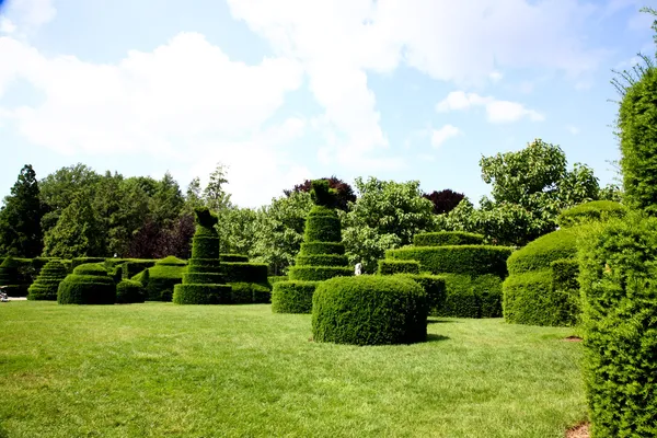 Wyświetlacz krajobrazu w ogrodzie botanicznym — Zdjęcie stockowe