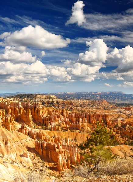 The Bryce Canyon National Park — Stock Photo, Image