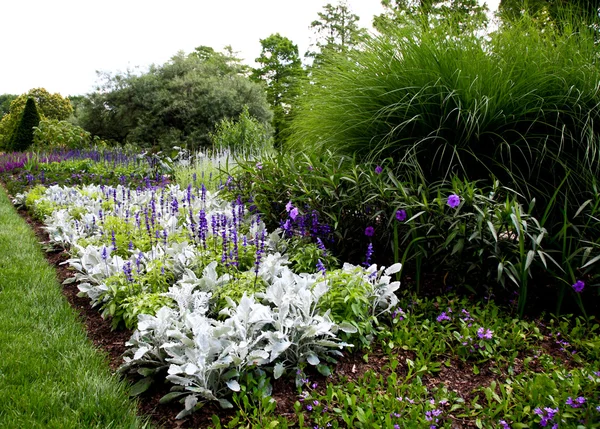 Bloemen weergegeven in een botanische tuin — Stockfoto