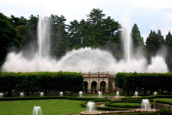 Pokaz fontanny w ogrodzie botanicznym — Zdjęcie stockowe