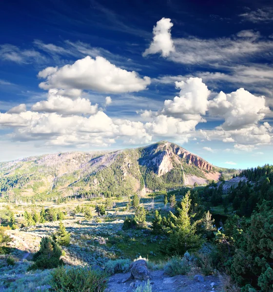 The Mammoth Hot Spring area in Yellowstone — Stock Photo, Image