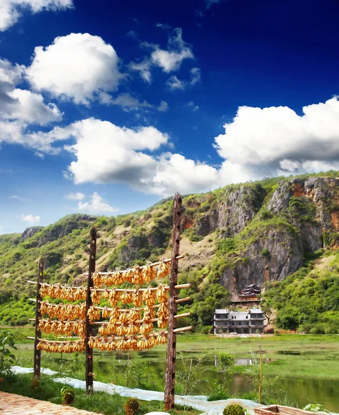 Um parque paisagístico em Lijiang China — Fotografia de Stock