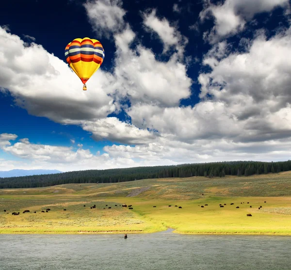 El paisaje a lo largo del río Yellowstone —  Fotos de Stock
