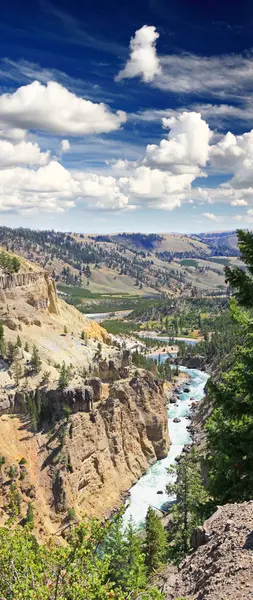 De yellowstone rivier in yellowstone np — Stockfoto