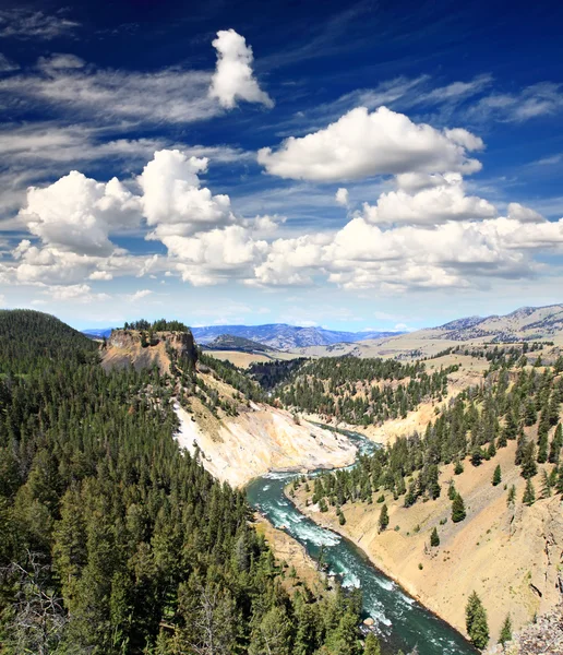 Yellowstonefloden i yellowstone np — Stockfoto