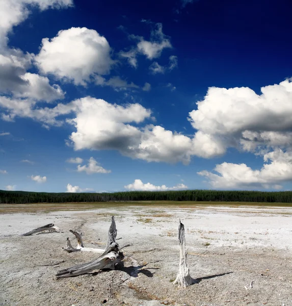 The scenery of Lower Geyser Basin in Yellowstone — Stock Photo, Image