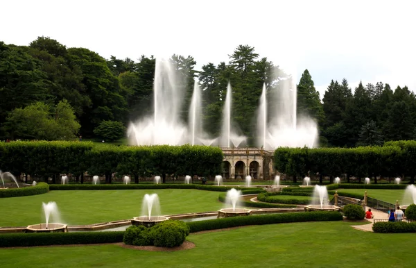 Una fontana in un giardino botanico — Foto Stock