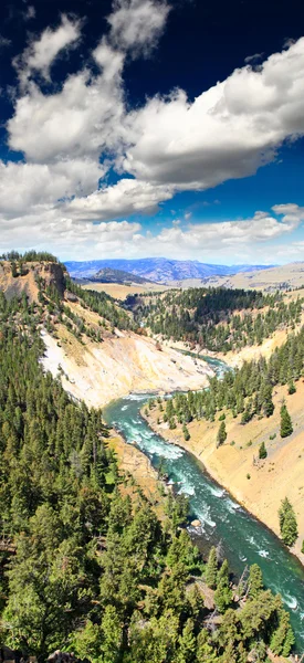 Yellowstonefloden i yellowstone np — Stockfoto