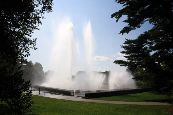 在植物园中的喷泉表演 — 图库照片