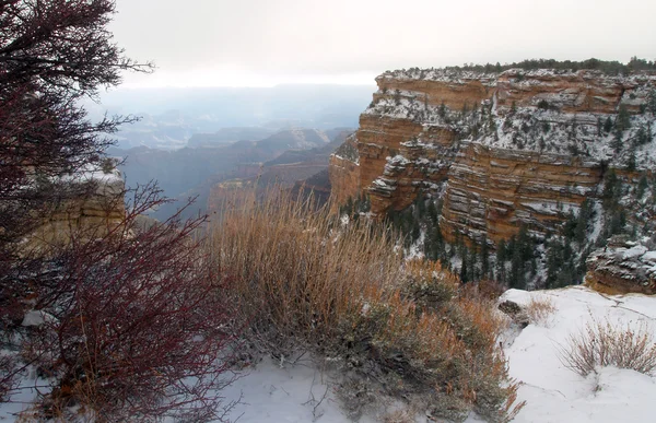 Gran Cañón en Arizona — Foto de Stock