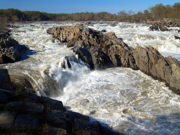 Potomac river - great falls nationaal park — Stockfoto