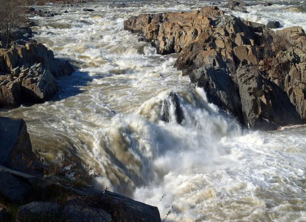 Potomac River - Great Falls National Park — Stock Photo, Image