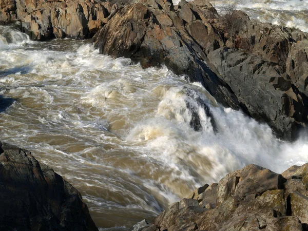 Potomac River - Great Fallsin kansallispuisto — kuvapankkivalokuva