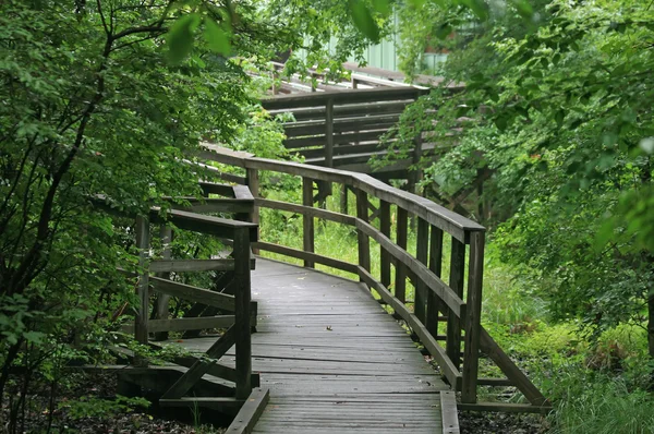 A walking trail in the Great Swamp National Wildlife Refuge — Stock Photo, Image
