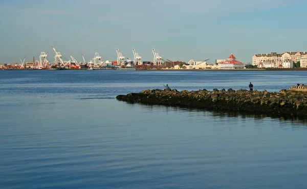 De kranen in een haven — Stockfoto