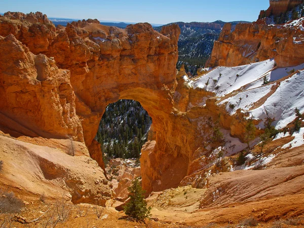 The Bryce Canyon National Park — Stock Photo, Image