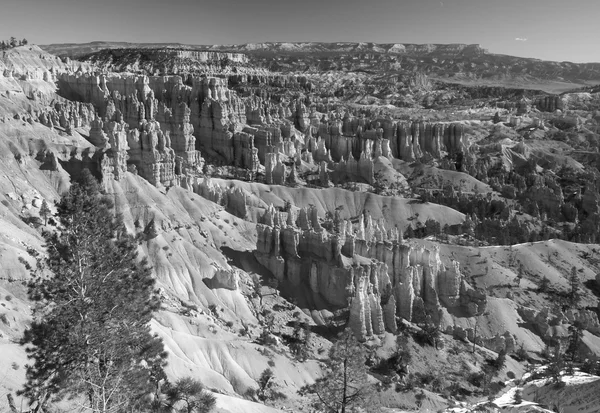 The Bryce Canyon National Park — Stock Photo, Image