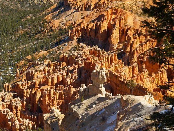 The Bryce Canyon National Park — Stock Photo, Image