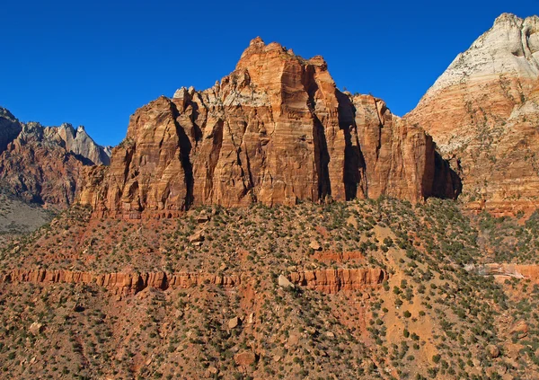 Montañas en el parque nacional de Zion —  Fotos de Stock