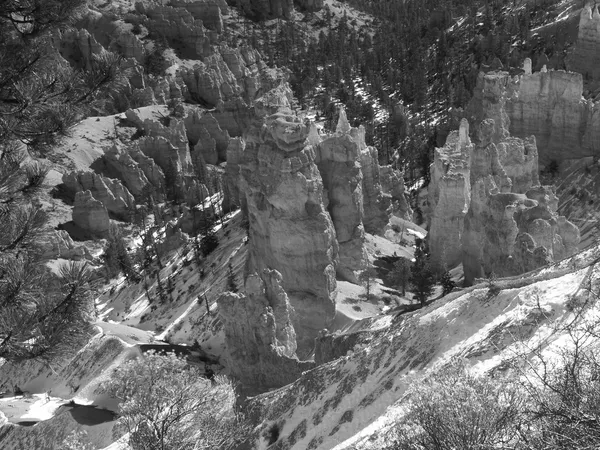 Bryce canyon nationalpark — Stockfoto