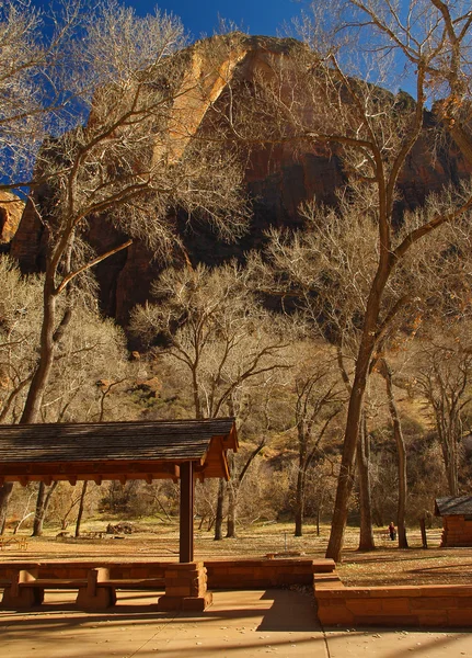 Mountains in Zion national park — Stock Photo, Image