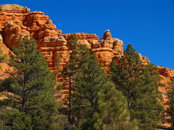 Sandstone formations in Red Canyon — Stock Photo, Image
