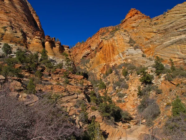 Góry w zion national park — Zdjęcie stockowe