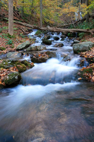 The Douglas Falls — Stock Photo, Image