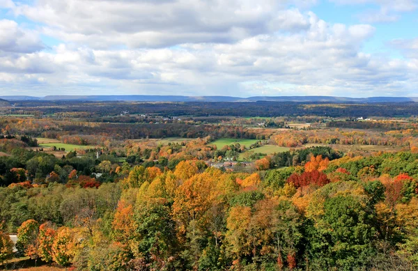 ニュージャージー州の紅葉風景 — ストック写真