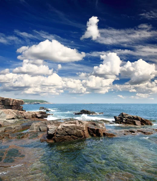 Acadia national park maine pobřeží usa Royalty Free Stock Fotografie