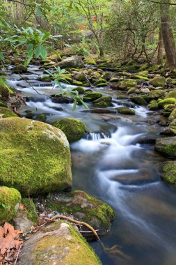 su akışları ve CASCADE Dağları