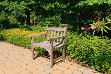 Botanik Bahçesi çiçek açan çiçekler