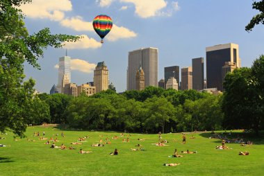 central Park'ta büyük çim