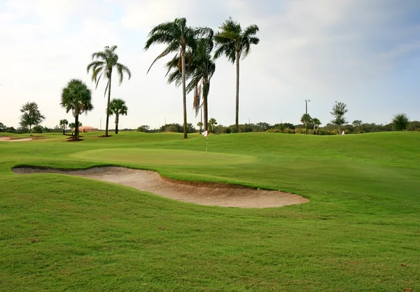 bir golf sahası tesisi