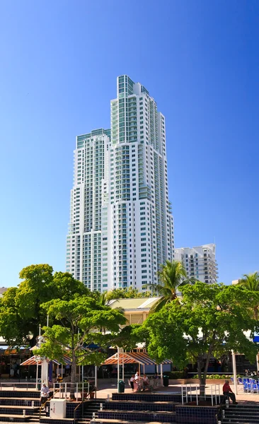 The high-rise buildings in downtown Miami — Stock Photo, Image