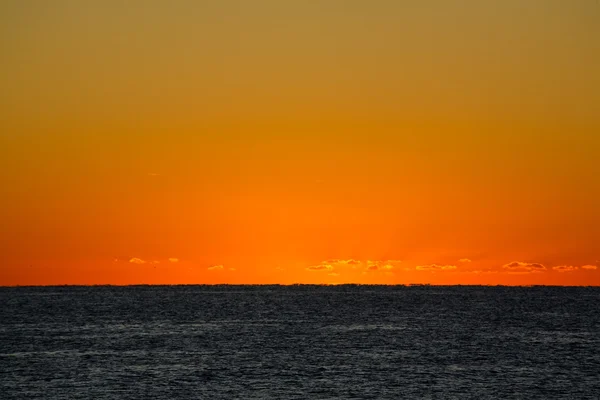 Sonnenaufgang am Palmenstrand von Florida — Stockfoto