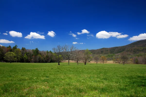 Smoky Mountain National Park — Foto Stock