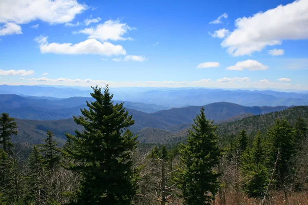 Smoky Mountain National Park — Foto Stock