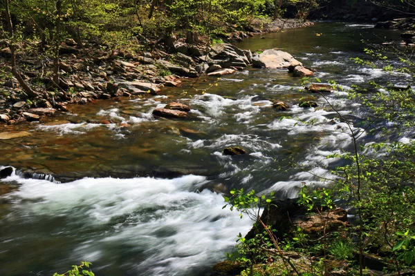 Flujos de agua y cascadas — Foto de Stock