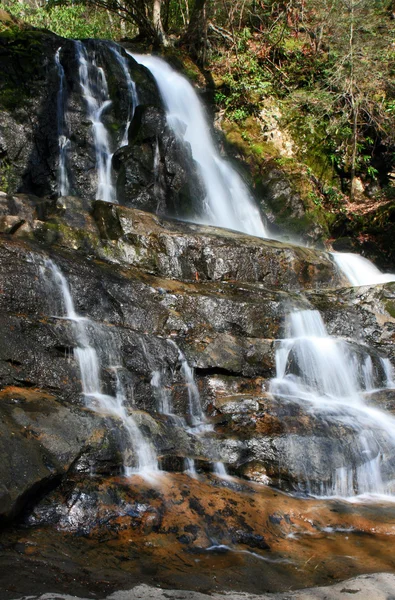 Laurel Falls dans les Smoky Mountains NP — Photo