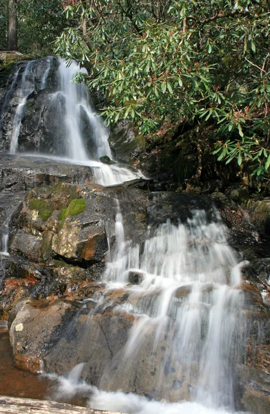 Laurel spadá v regionu smoky mountains np — Stock fotografie