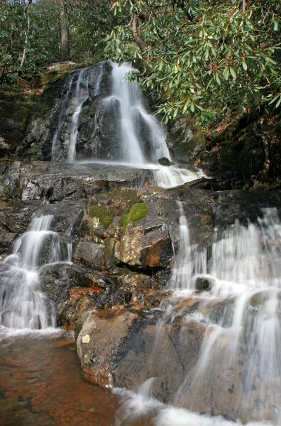 Laurel cae en las montañas humeantes NP — Foto de Stock