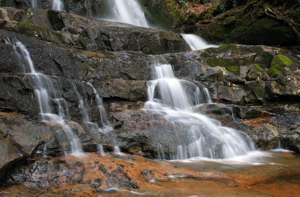 Laur zakochuje się w regionie smoky mountains np — Zdjęcie stockowe